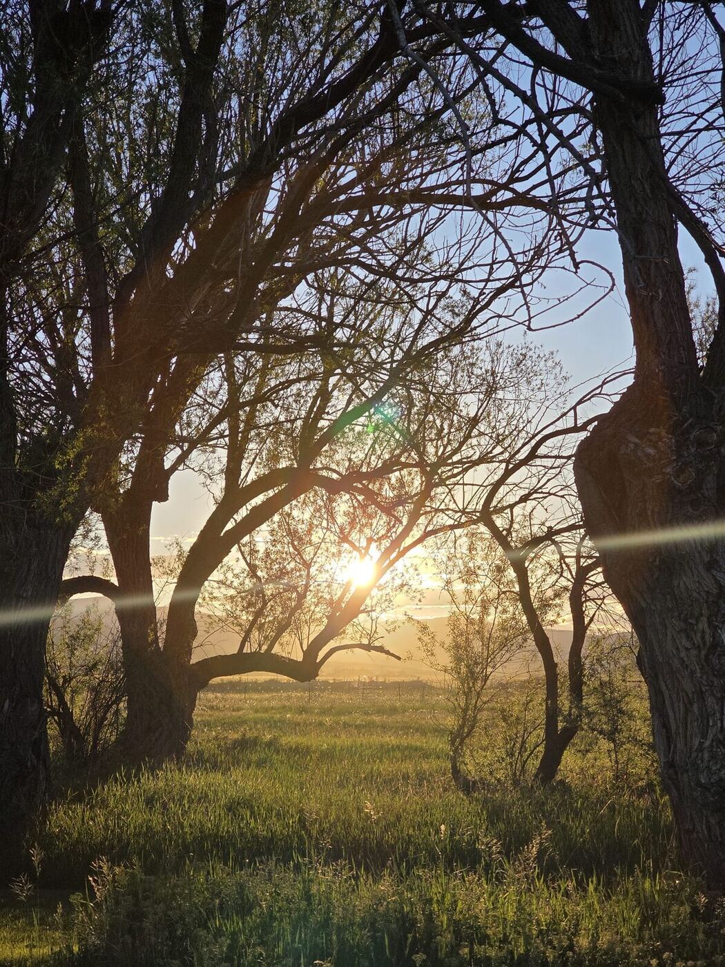 Sunrise over Nava Gardens in Helena, Montana