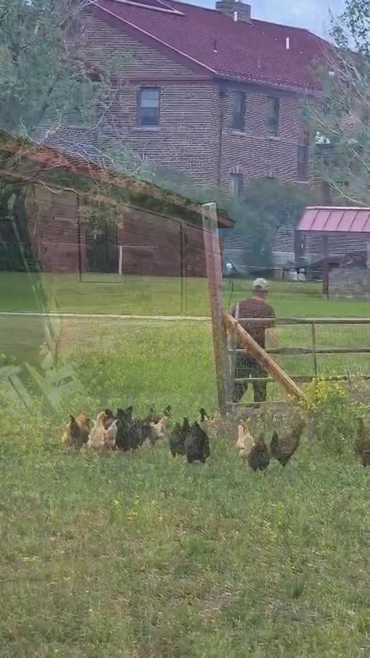 The farm at Nava Gardens, Montana